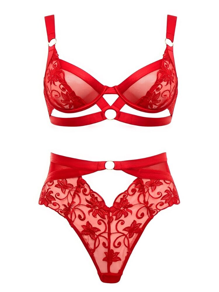 Red embroidered floral lace and mesh underwire bra and panty set. High waist panty with keyhole accents. - Sensual Sinsations