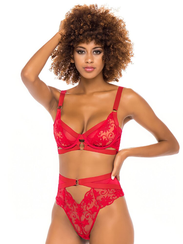 Red embroidered floral lace and mesh underwire bra and panty set. High waist panty with keyhole accents. - Sensual Sinsations